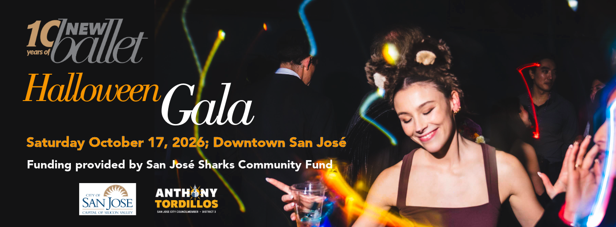 10th Anniversary Gala & Dance Party Silent Auction